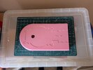 PXL_20250706_082216193.jpg