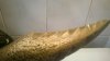 WP_20141104_004.jpg