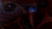 IMG_1498.jpeg