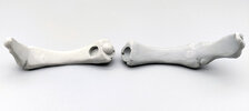 guyver kit 05.jpg