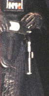 IMG_0778.jpeg