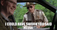 IMG_2606.gif