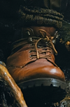 77520094007-jurassic-world-rebirth boots.png