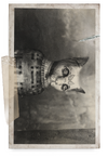 activitynote_marshallcollege_collectable_catmummyphoto_j.png