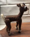 IMG_3552.jpeg