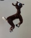IMG_3556.jpeg