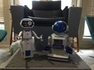 IMG_2022.jpeg