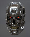 t800_101.jpg