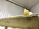 IMG_6550.jpeg