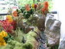 IMG_0594.jpeg