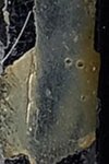 IMG_0947.jpeg