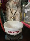 IMG_1326.jpeg