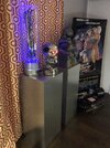 IMG_2208.jpeg