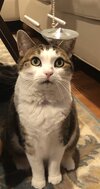 IMG_0467.jpeg