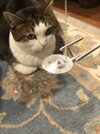 IMG_0466.jpeg