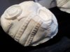 20130609_194611.jpg