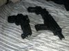2013-02-24_09-55-59_170.jpg 2013-02-24_09-55-59_170.jpg