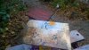 WP_20141108_004.jpg