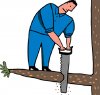 out limb sawing.jpg