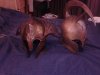 IMG_20141112_004150.jpg