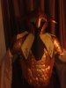 IMG_20141117_203658.jpg
