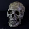 skullcasting1000px-9143_zpsa16d5add.jpg