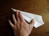 5 Wing down.jpg 5 Wing down.jpg