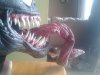 20140227_100514.jpg