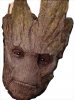 groot face.jpg