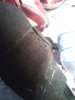 WP_000231.jpg