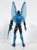Blue Beetle back.JPG Blue Beetle back.JPG
