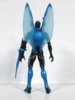 Blue Beetle back.JPG