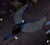 beetle 3.jpg beetle 3.jpg