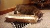Snapshot_20141218_1.JPG