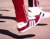 Gazelles 001.JPG