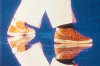 Doc Nikes.png Doc Nikes.png