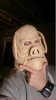 DSC_0334.JPG