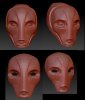 ForcePriestess-ZBrush WIP.jpg ForcePriestess-ZBrush WIP.jpg