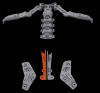 spine top hole.png
