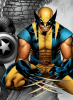 3666063-wolverine_(comics).png