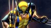 Marvel_Heroes_Artwork_Wolverine.jpg