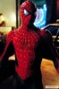 Spider-Man-1410915.jpg