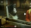 seafox3.jpg seafox3.jpg