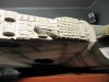 tn_model czerwic sklejony 059.JPG