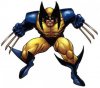 Wolverine_007.jpg Wolverine_007.jpg