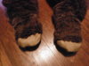 DSCF1607.JPG