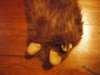 DSCF1610.JPG