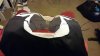 Cape Back 02.JPG