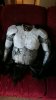Torso 01.JPG