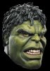 avengers_hulk_dg43724mor.jpg